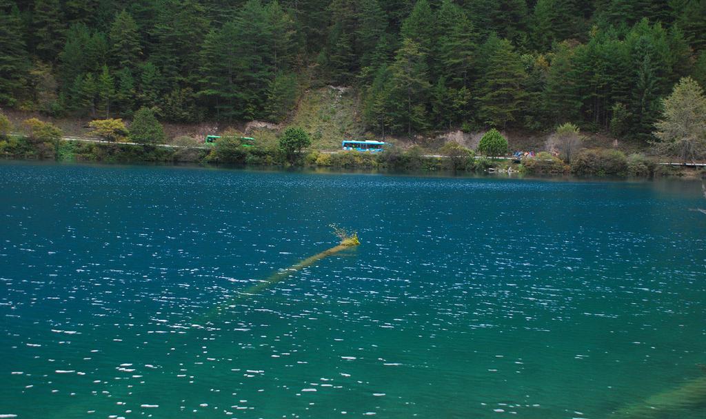 树正沟最大的海子犀牛海