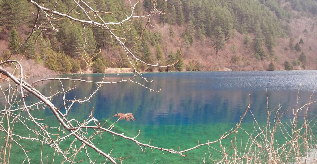 树正沟最大的海子犀牛海