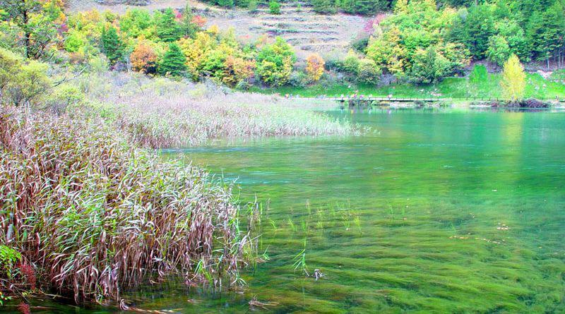 树正沟最大的海子犀牛海