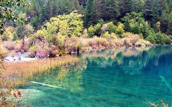 树正沟最大的海子犀牛海