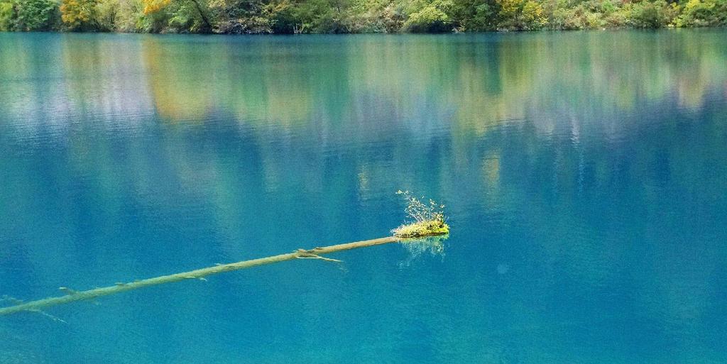 九寨沟第二大海犀牛海