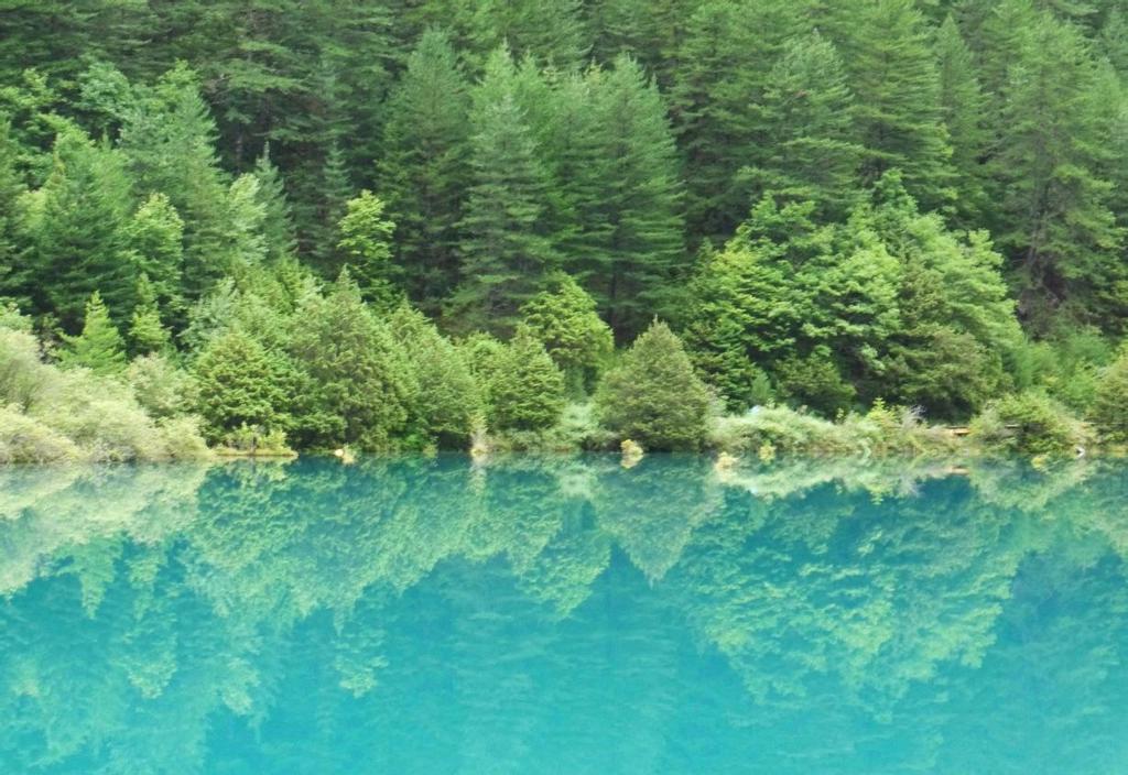 九寨沟第二大海犀牛海