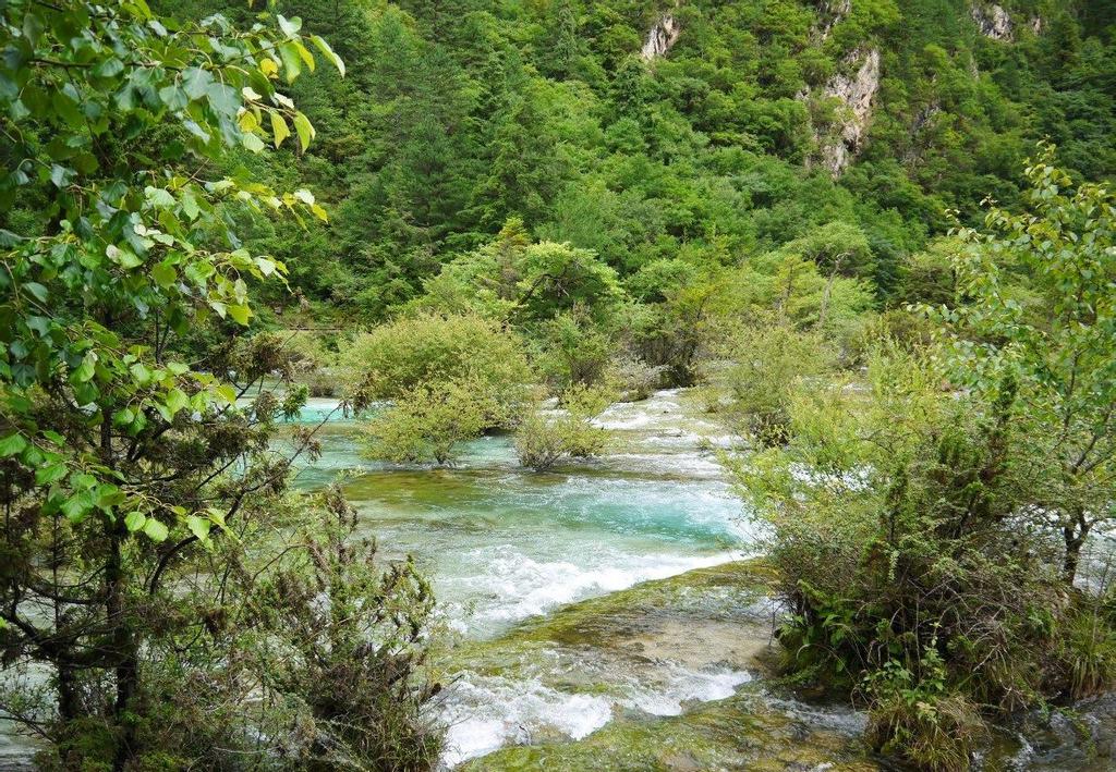 九寨沟盆景滩滩流风光