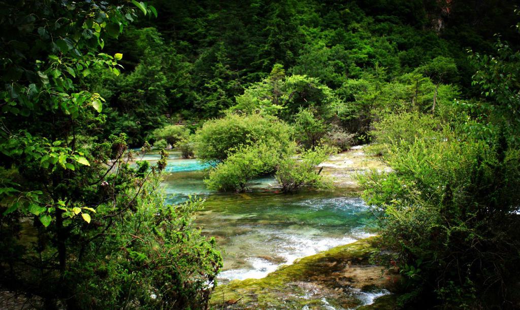 九寨沟盆景滩滩流风光