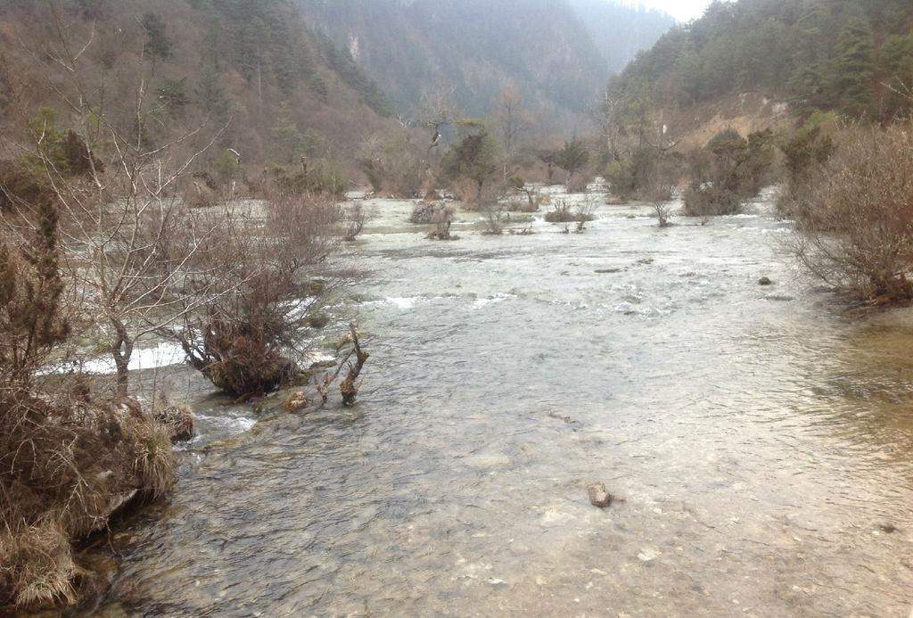 九寨沟盆景滩滩流风光