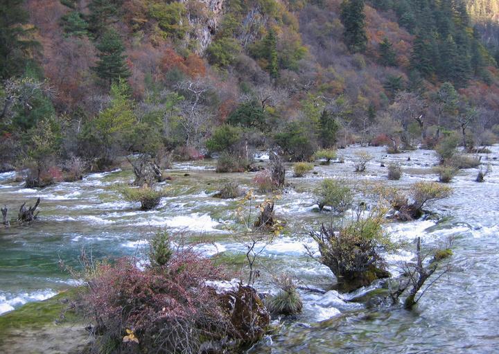 九寨沟盆景滩滩流风光
