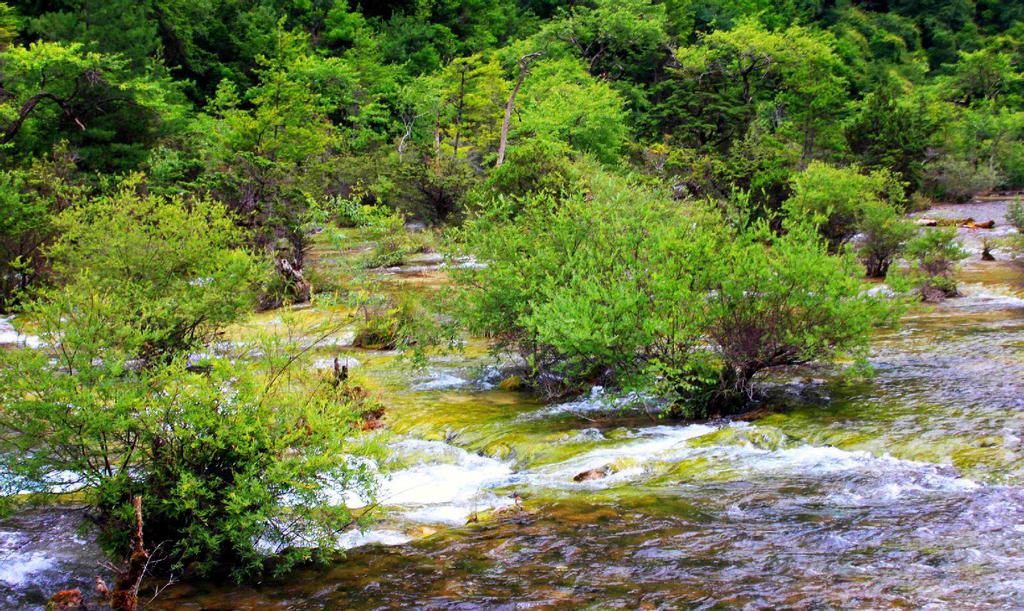 九寨沟盆景滩滩流风光
