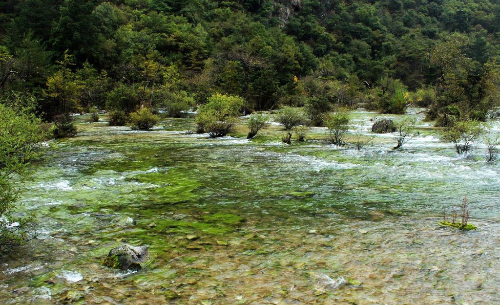 九寨沟盆景滩滩流风光