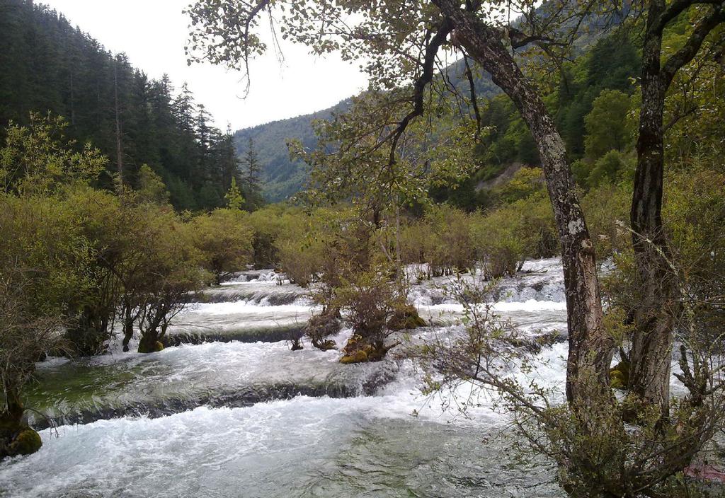 九寨沟盆景滩滩流风光