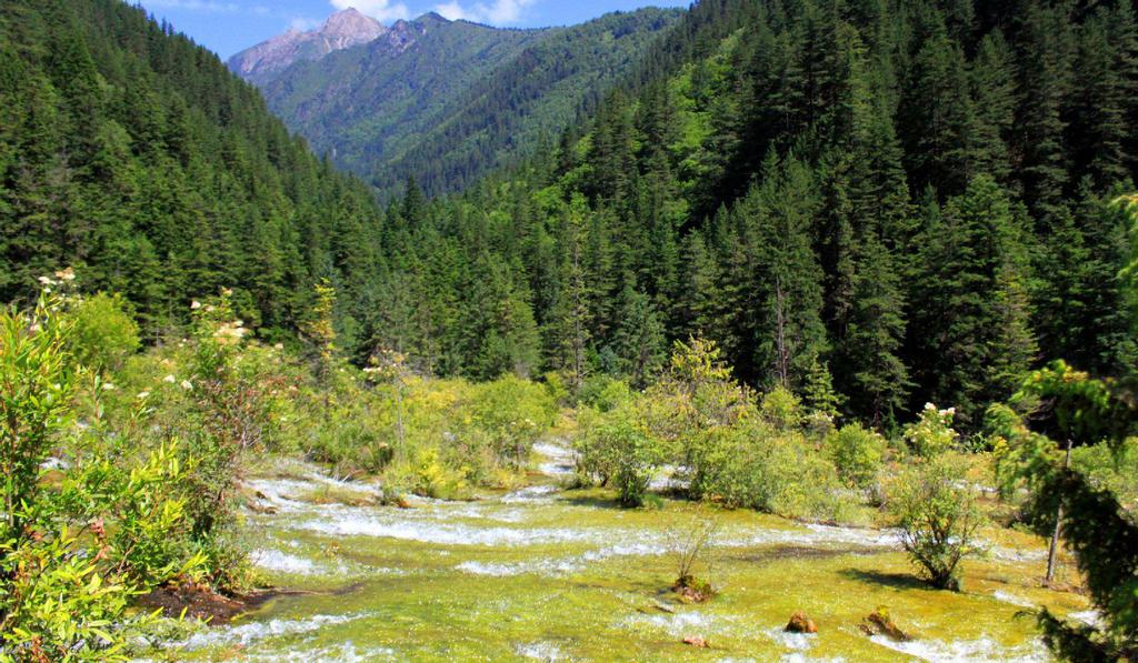 九寨沟盆景滩滩流风光