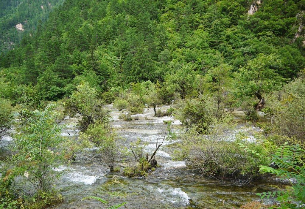 九寨沟盆景滩滩流风光