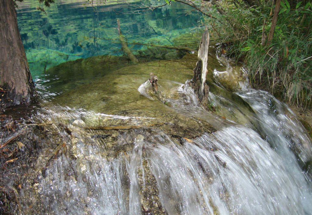 四川九寨沟盆景滩意境风光