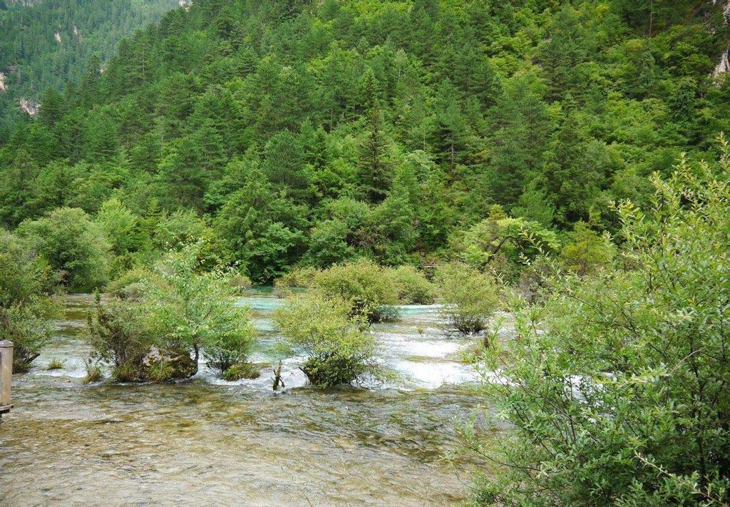 四川九寨沟盆景滩意境风光