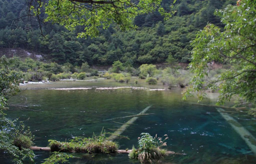 四川九寨沟盆景滩意境风光