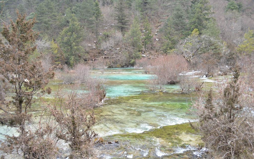 四川九寨沟盆景滩意境风光