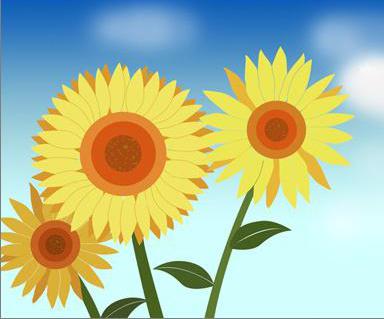 精美的卡通向日葵图片