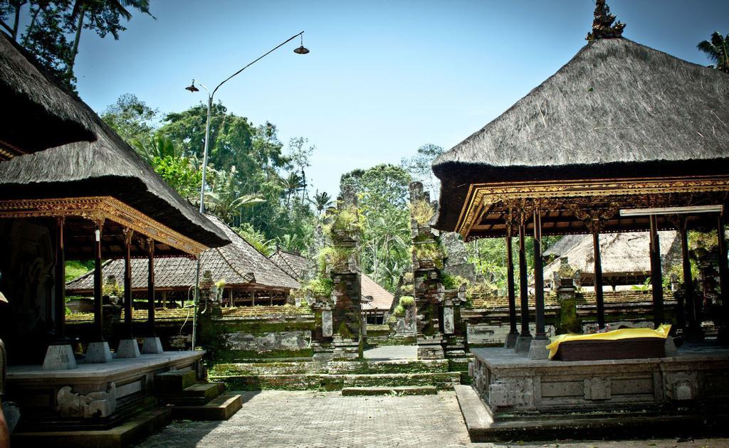 巴厘岛圣泉庙风光