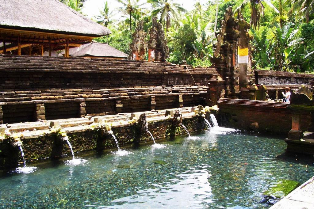 巴厘岛圣泉庙风光