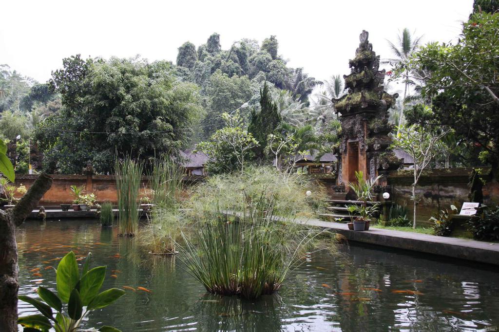 巴厘岛圣泉庙风光