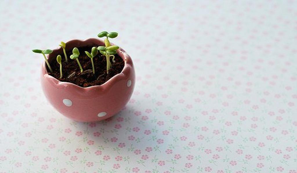 细细品味一种感觉