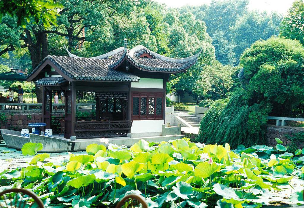 西湖十景曲院风荷