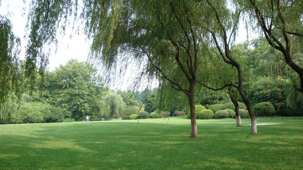 清新雅丽柳浪闻莺