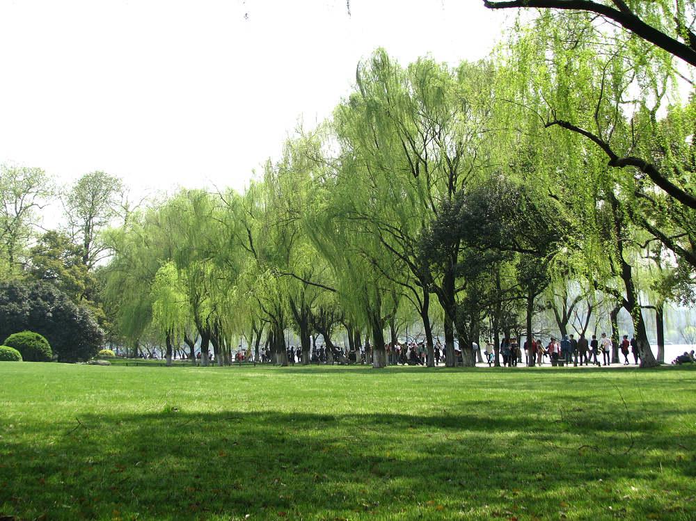 西湖十景柳浪闻莺