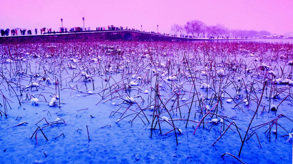 西湖独特景观断桥残雪