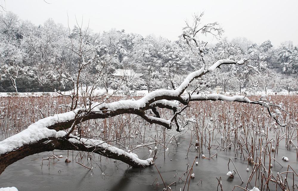 西湖独特景观断桥残雪