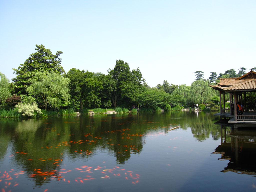 美丽风光花港观鱼