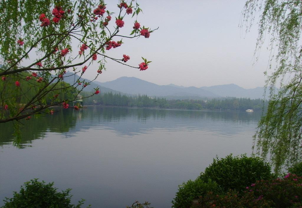 美丽风光花港观鱼