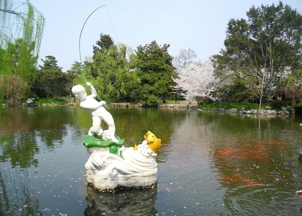 杭州花港观鱼公园