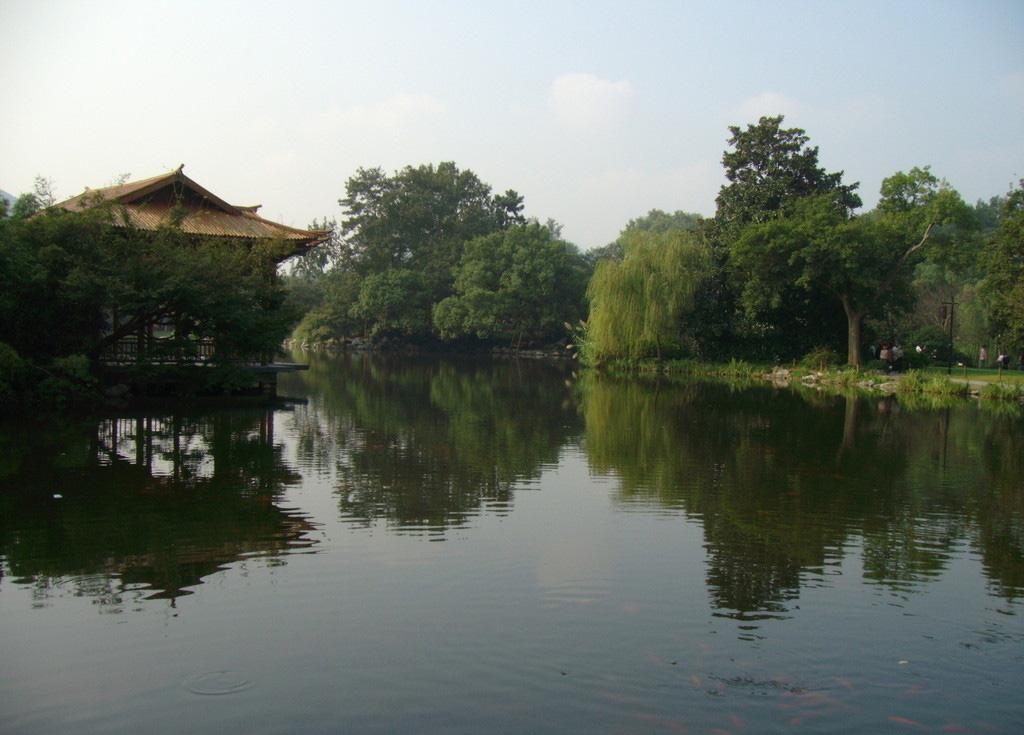 西湖十景花港观鱼