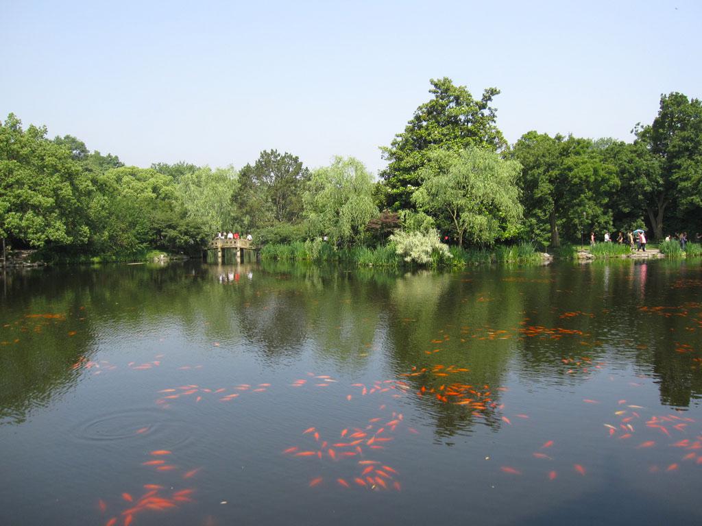 杭州花港观鱼公园