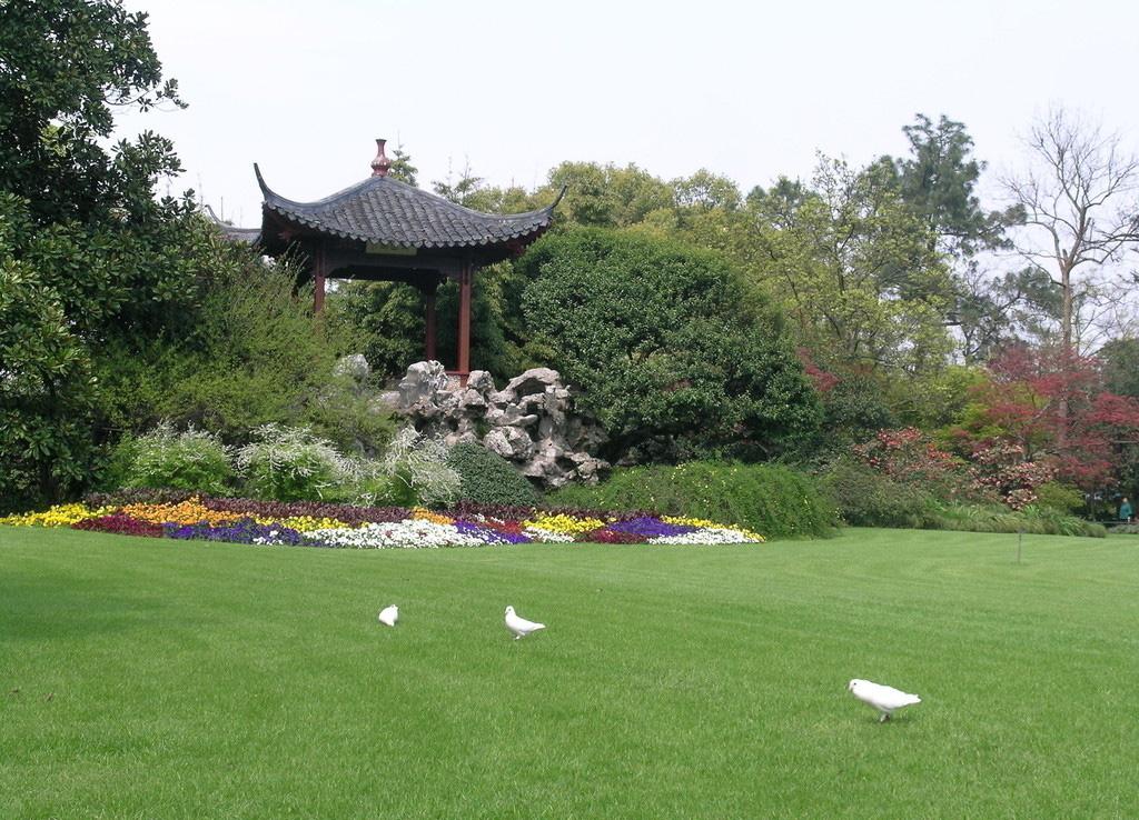 美丽风光花港观鱼