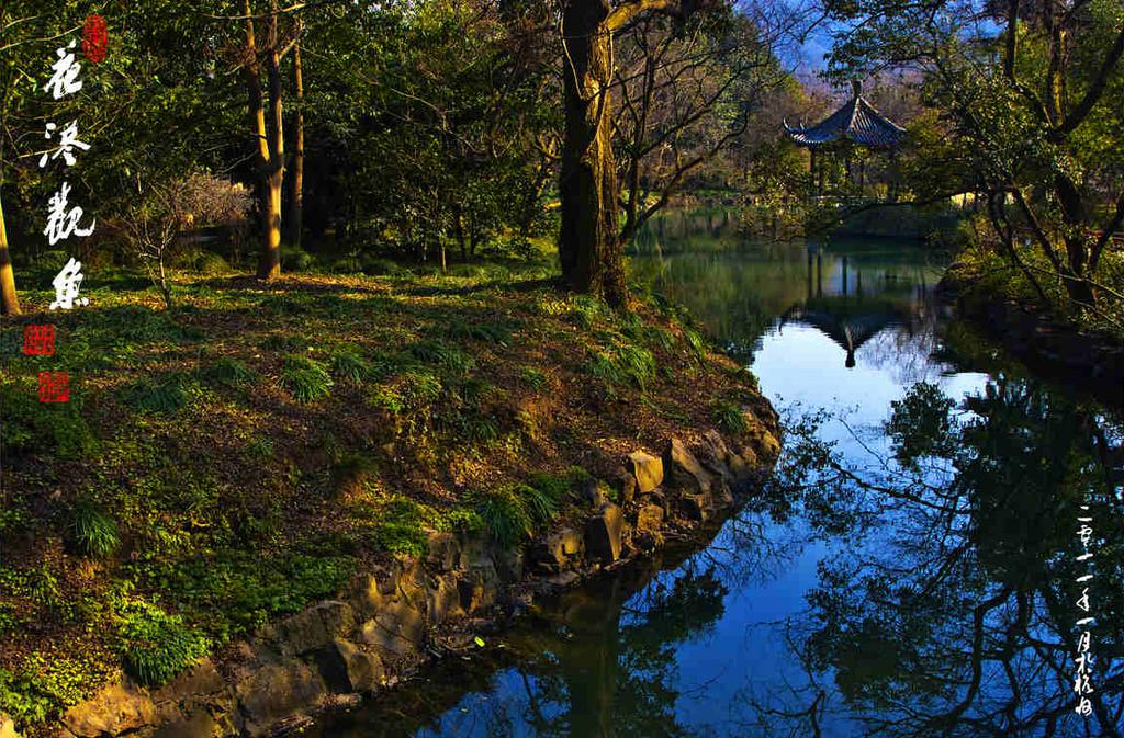 西湖十景花港观鱼
