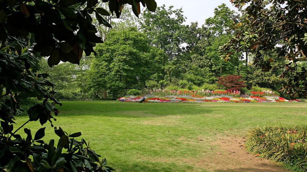 美丽风光花港观鱼