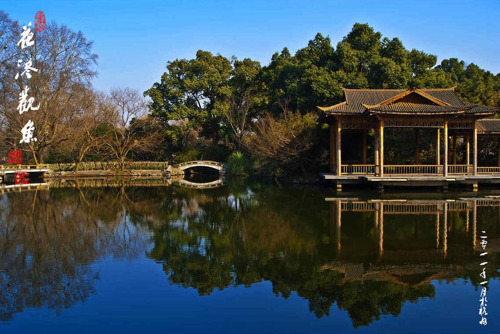 西湖十景花港观鱼