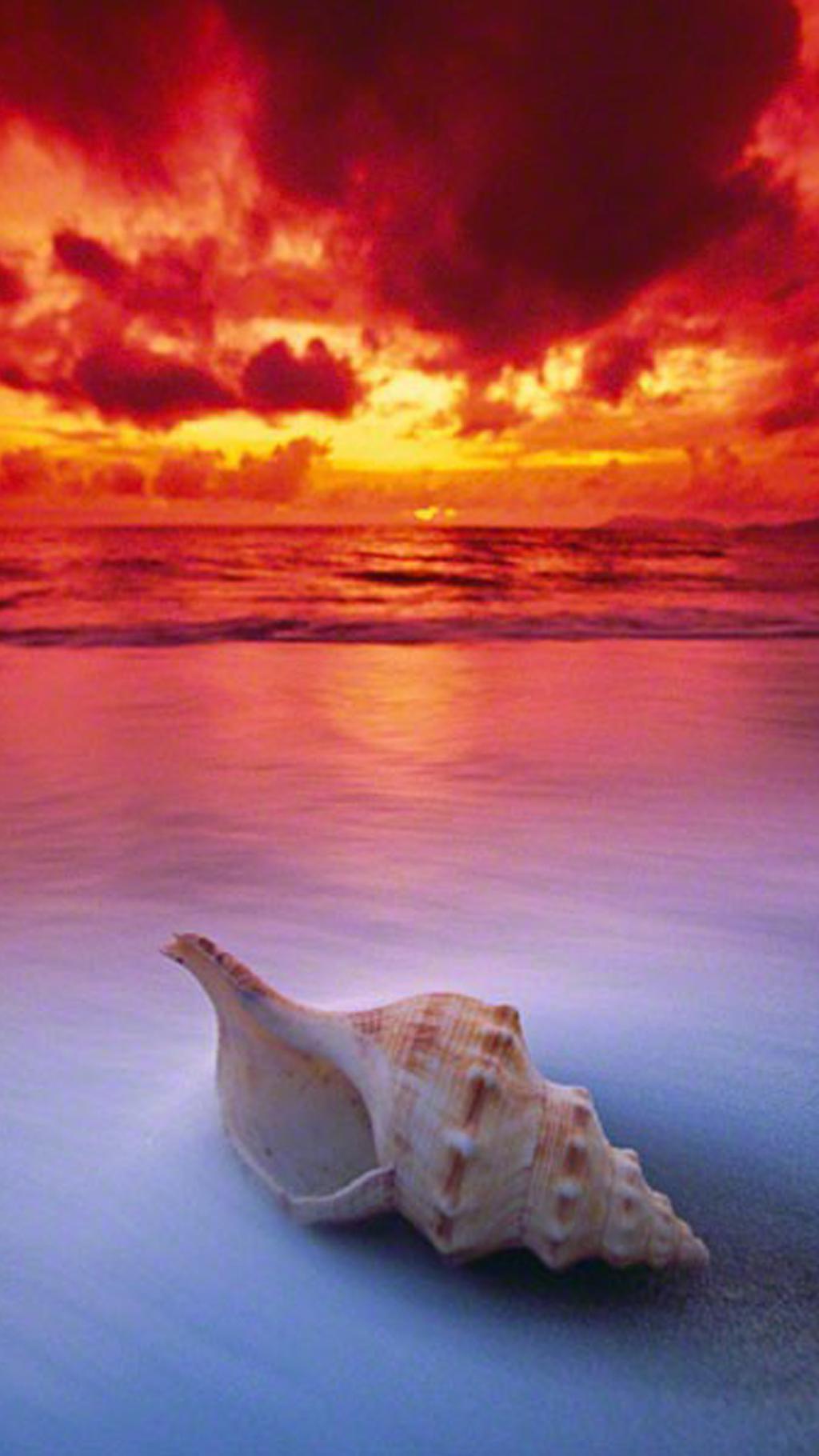 超美的日出日落