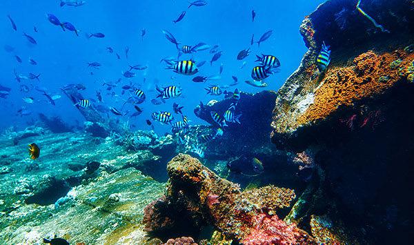 印尼巴厘岛图兰奔风光