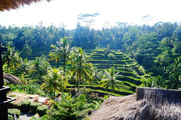 最美的德格拉朗梯田