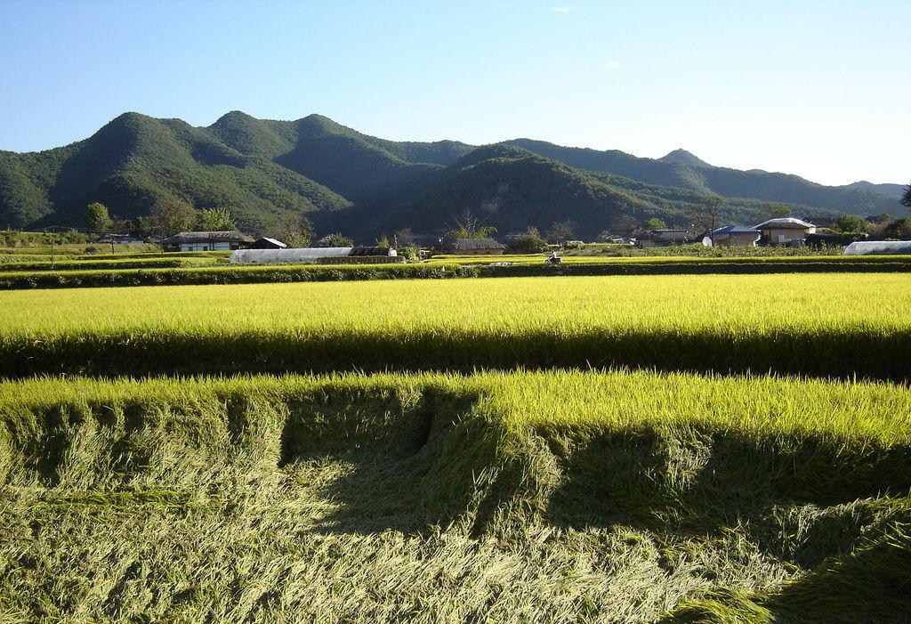 济州岛汉拿山景观