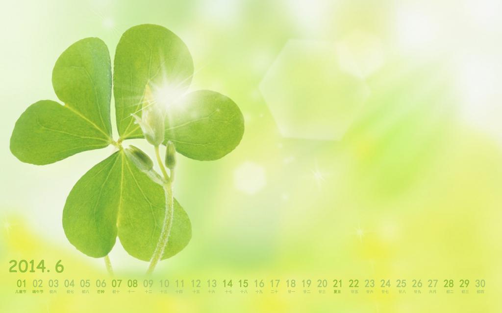 2014年6月唯美插画日历