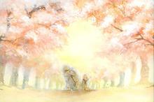 唯美伤感插画图片