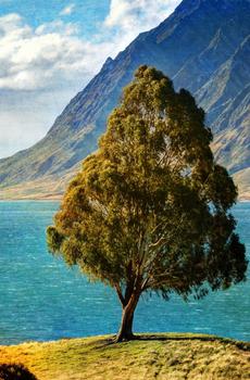 美丽自然风光-3