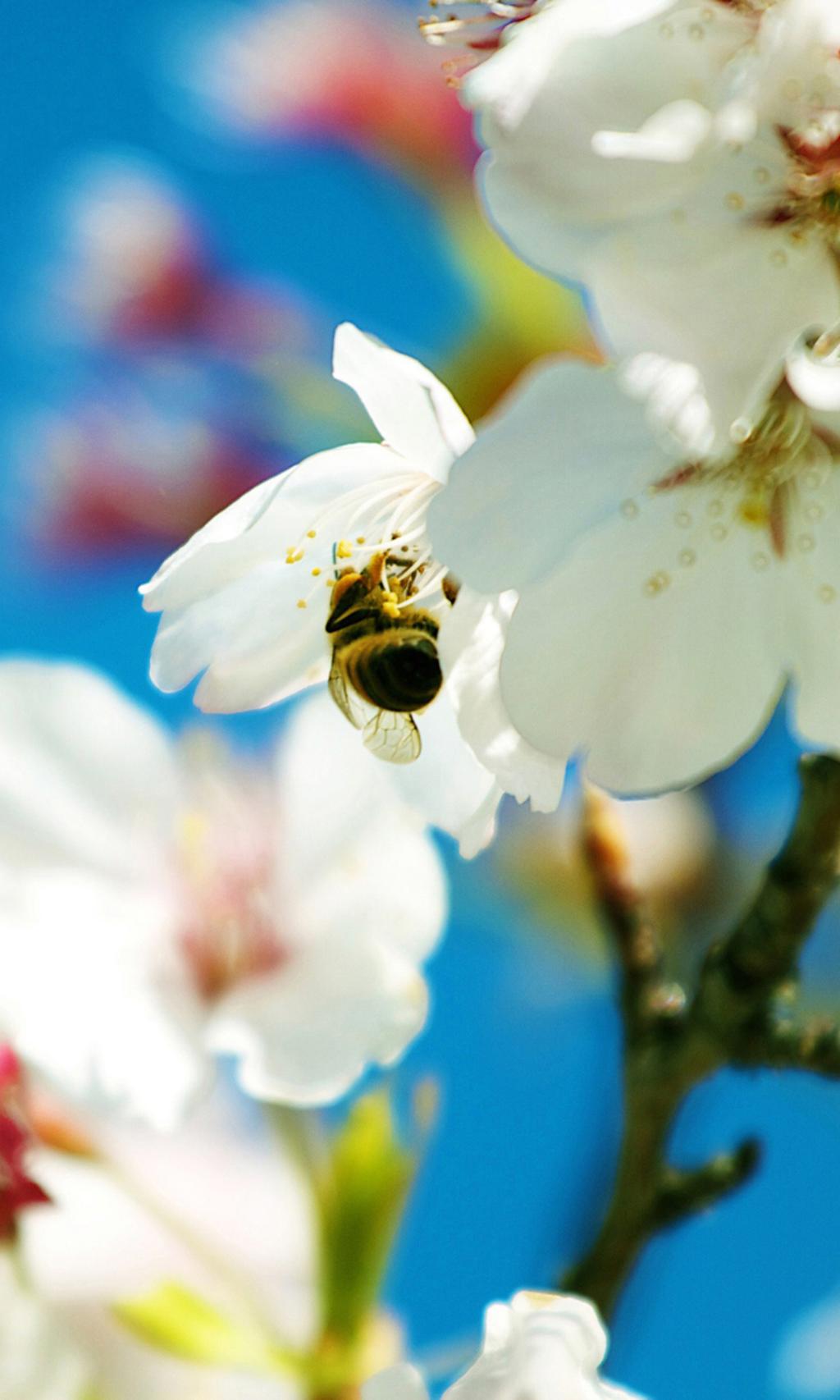 一抹美丽的色彩