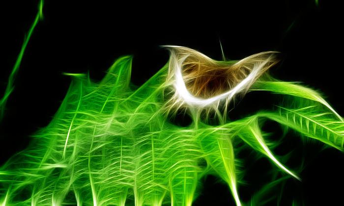 非主流另类唯美