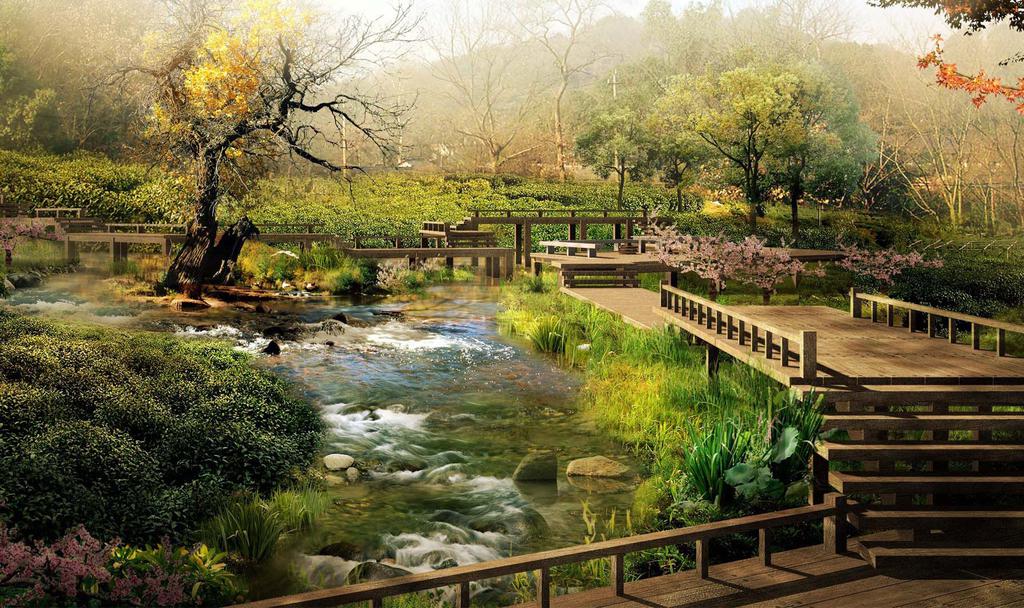 唯美丛林中的木桥