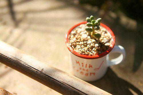 治愈系意境图片