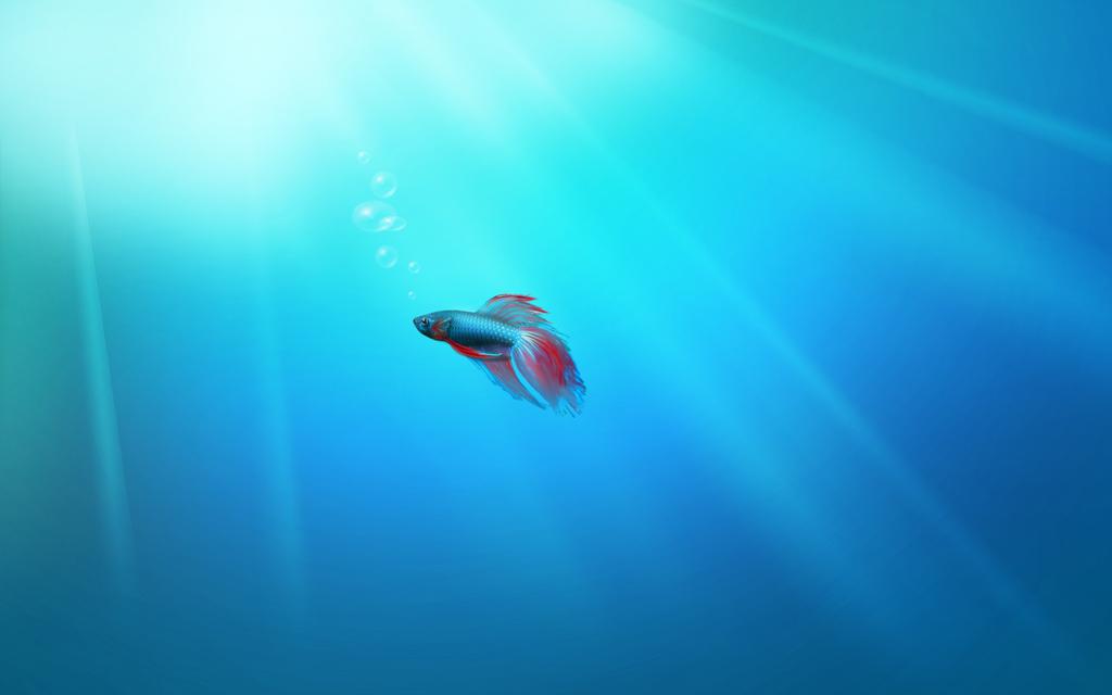 win7系统创意屏保